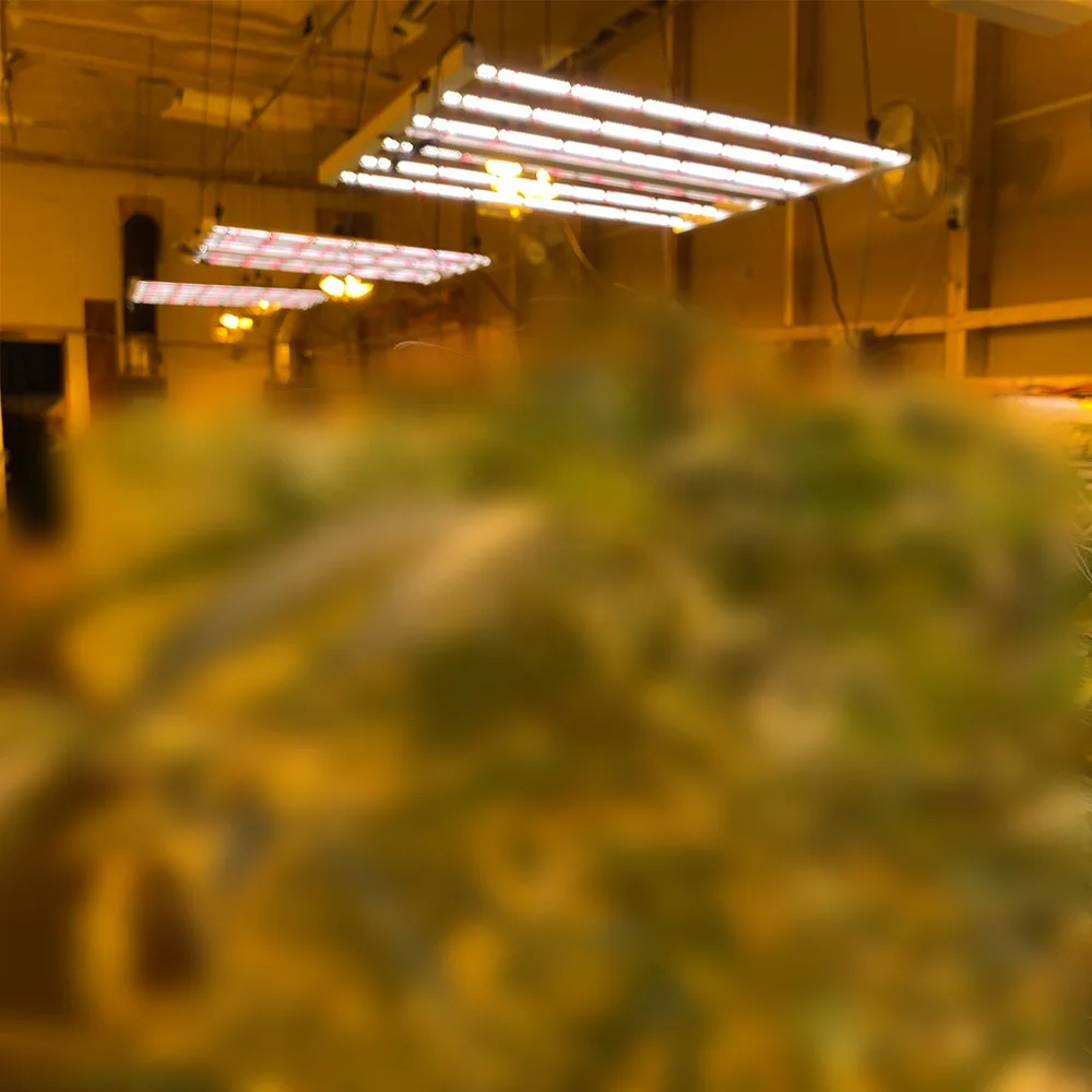 5 year 600w 640w 1000w Greenhouse Indoor Plants Growing led grow light full spectrum