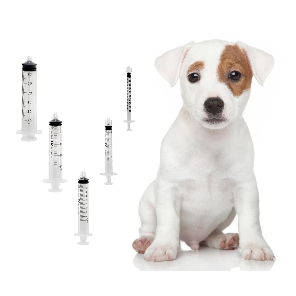 Disposable Veterinary Syringe Needle Luer Animal Veterinary Accessories Essential Product for Veterinary Needs
