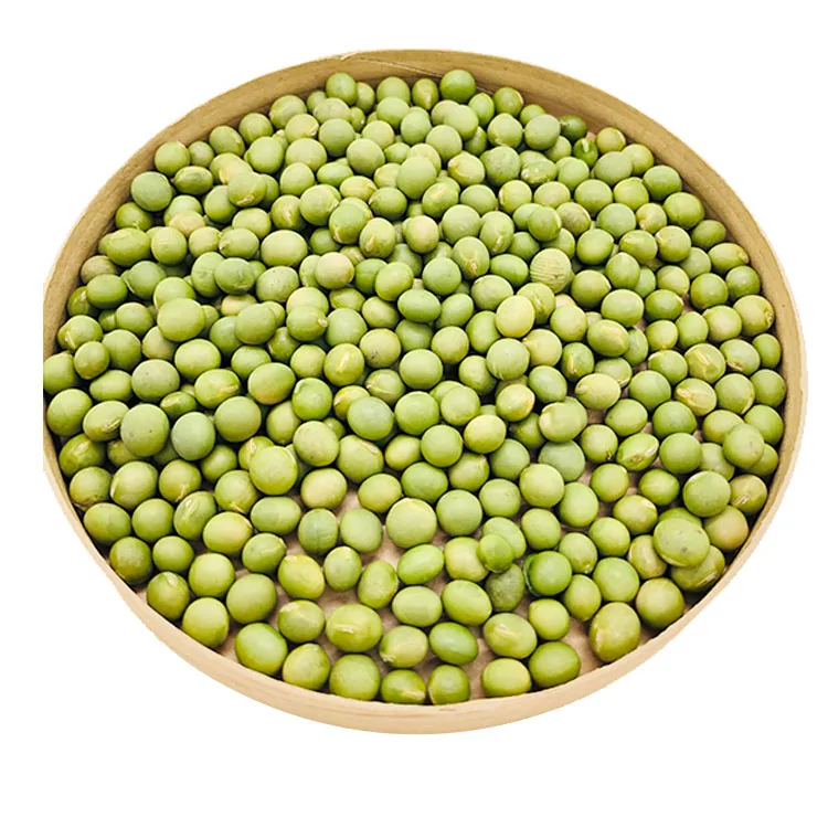 Maker price high quality organic food grade bean soybean for sale with high protein