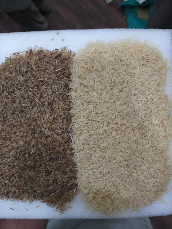 Нигерийская мини-сортировочная машина для риса