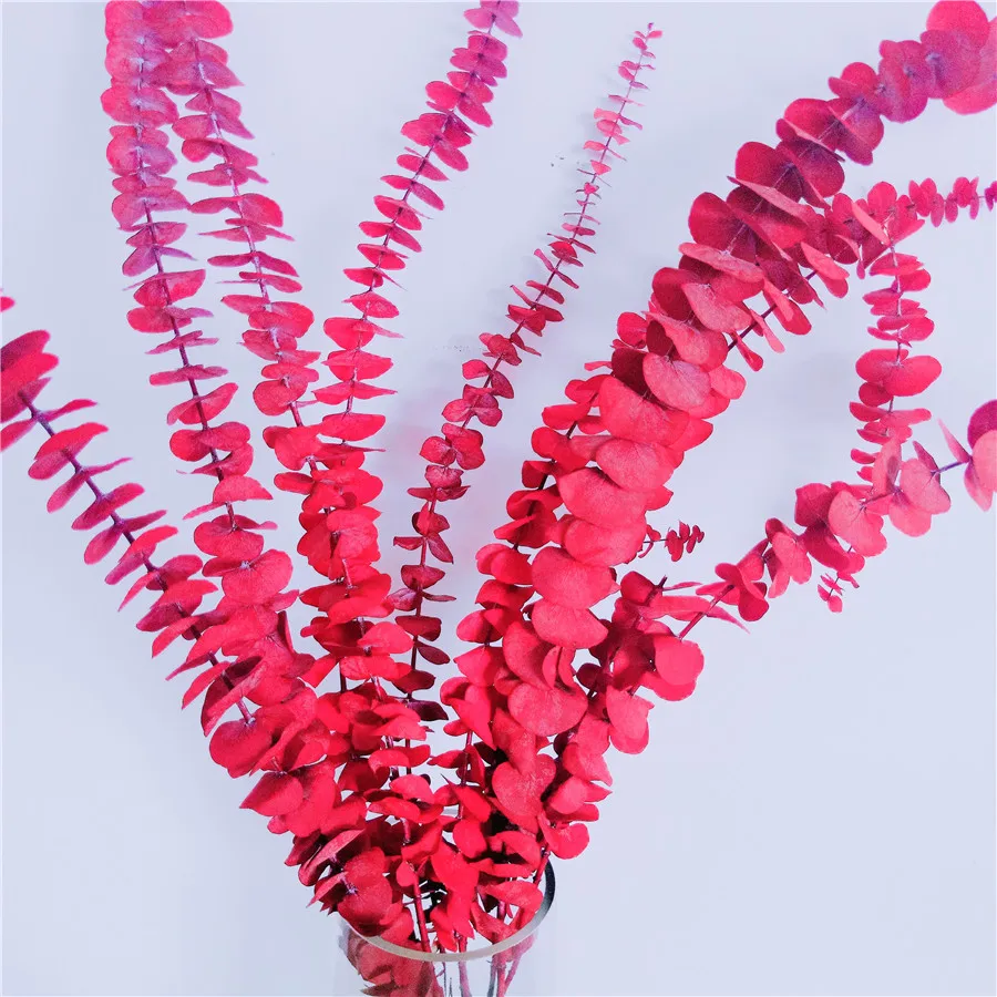 2022 Hot Selling Natural  Eucalyptus Leaves Dried Eucalyptus Leaves Eucalyptus Leaf for Decoration