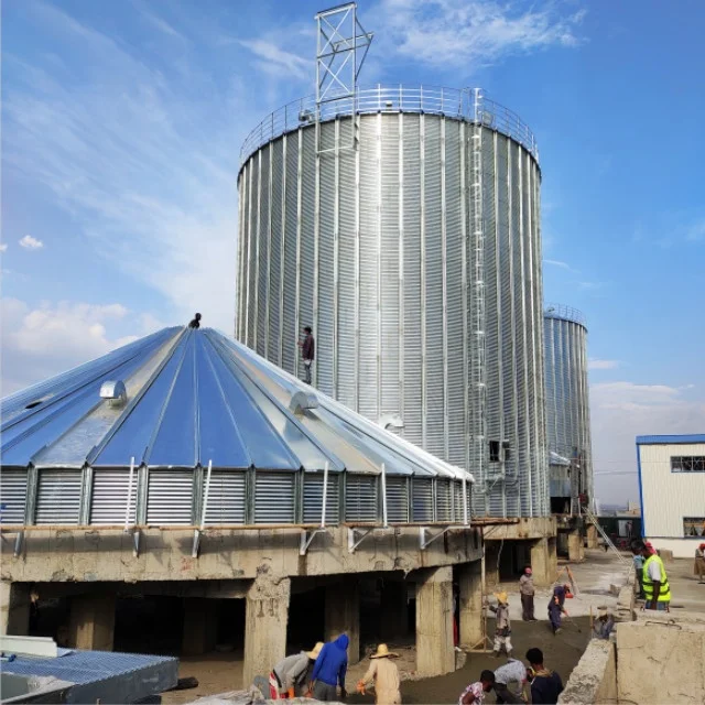  12500t гальванизированный стальной силос для зерна с плоским дном
