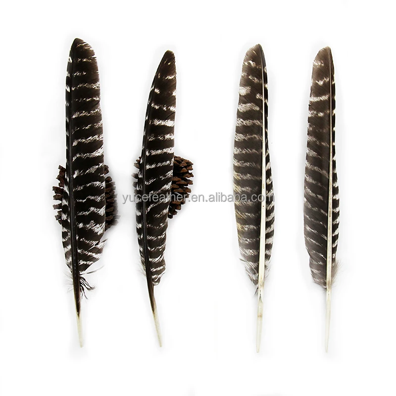 Feather Wholesale 30-35CM Natural Plumas Patterned Turkey Wing Feathers for crafts Arrows decorations