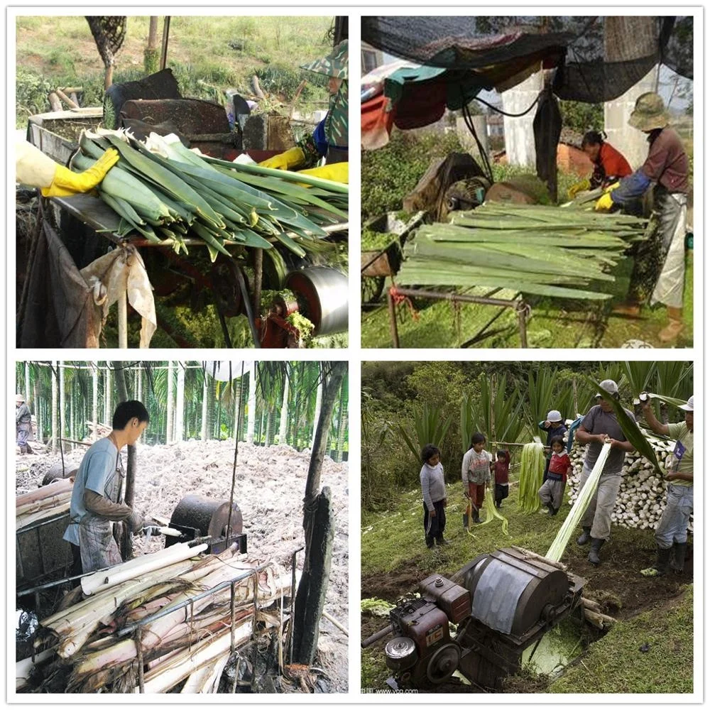 Industrial hemp fiber extraction machines long fiber extractor machine