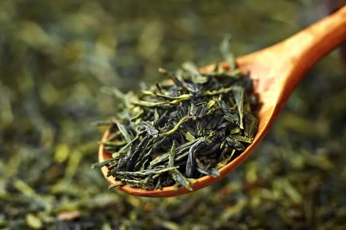 Wholesale Price Best Organic China Green Tea OEM Logo Printing Tea Loose Leaf for Health