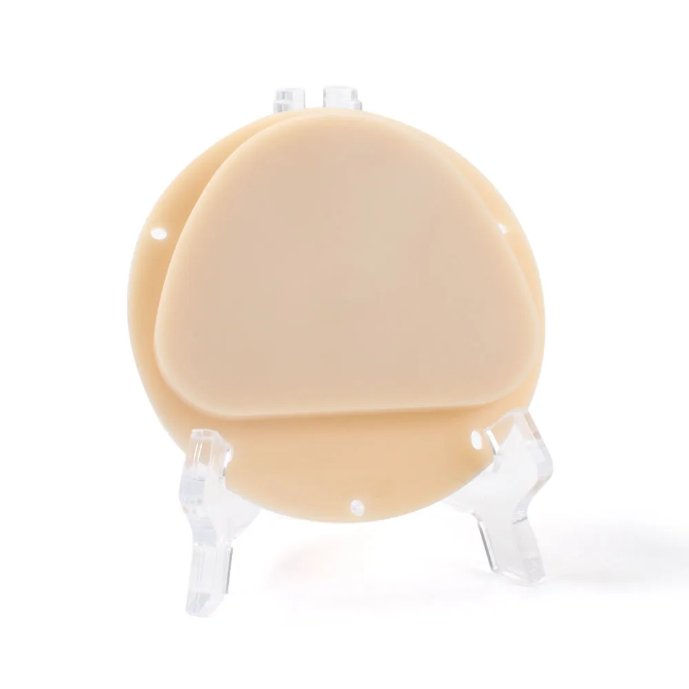 Zahndent dental cad cam milling material dental PMMA milling disc multilayer PMMA dentale