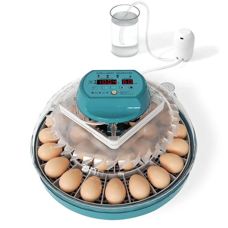 15 Egg capacity Mini egg incubator fully automatic with trays