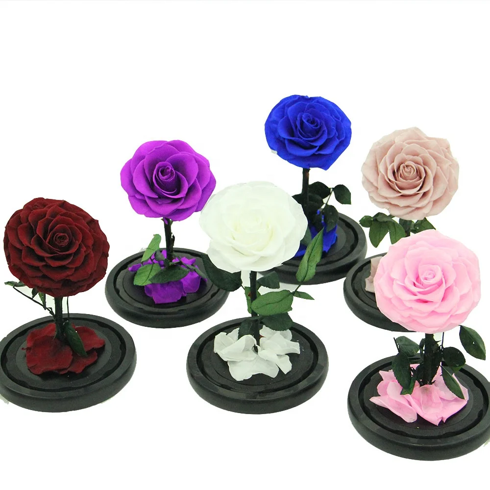 Wholesale Lighted Little Prince Immortal Flower Rose Glass Dome Design Three Colors Preserved Rose In Glass Dome