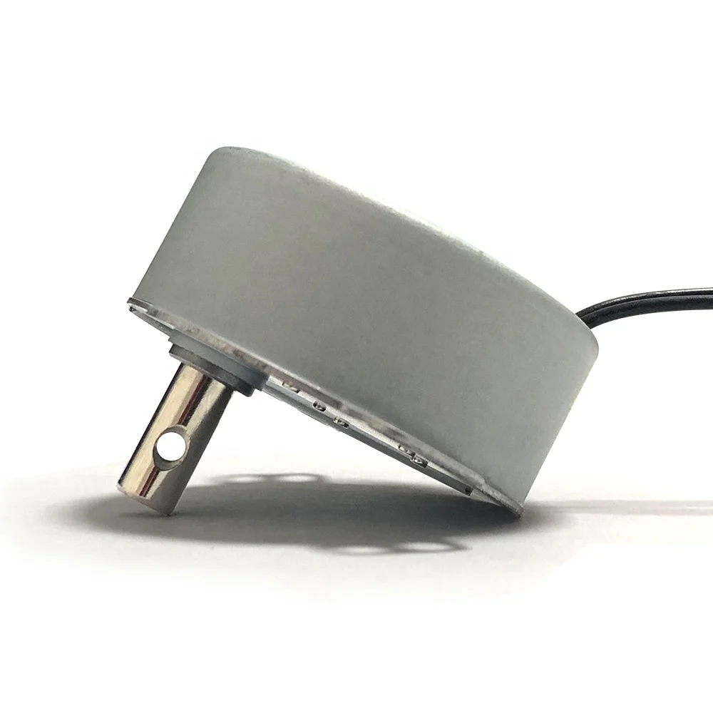 Sijiatech TY50 220v Gear box electric motors 4w  ac Permanent magnet Synchronous motor