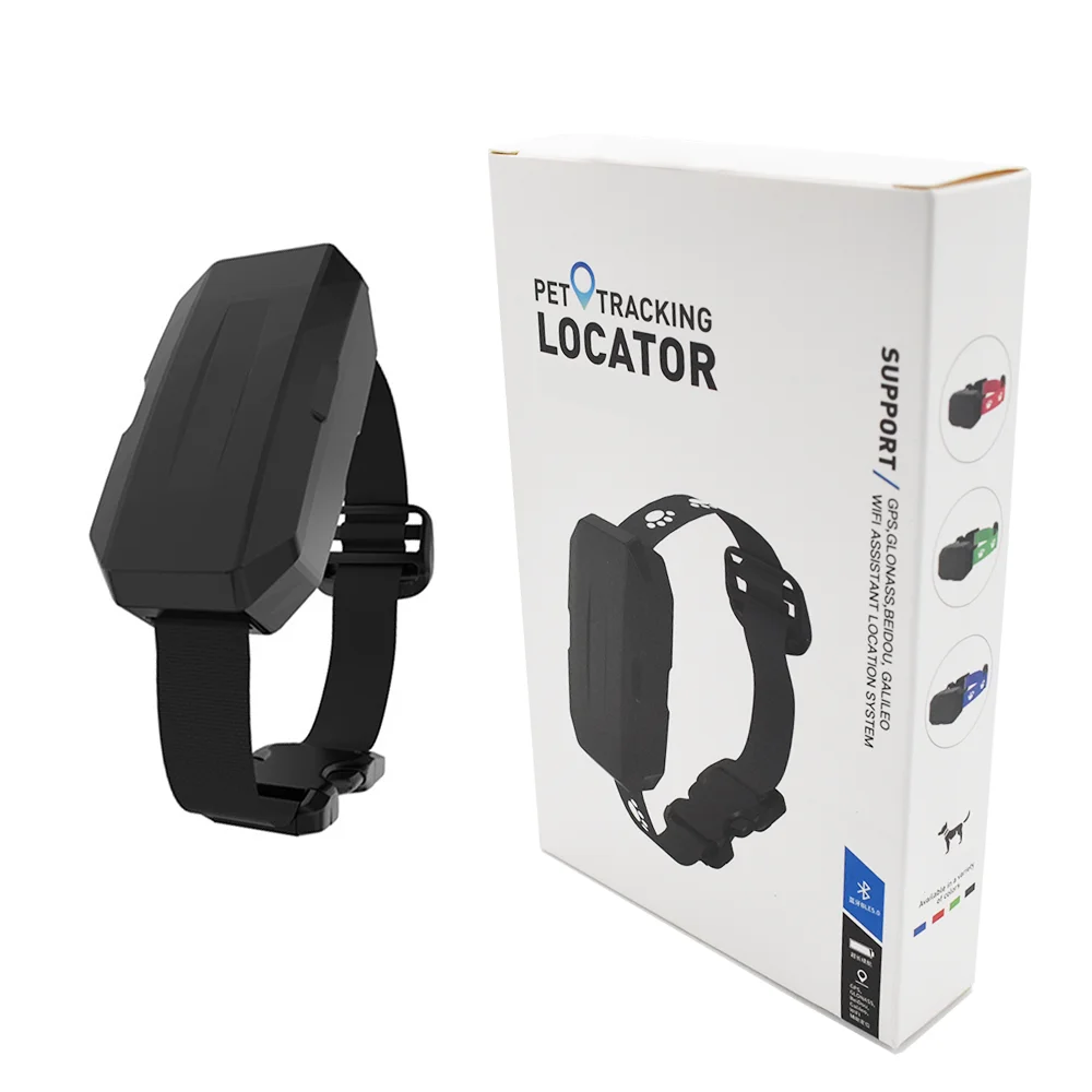 Huaxin 4G GPS Waterpoof 4g full net com Anti Theft Pet Smart Collar Gps Tracker GPS Pet Tracker With App for dog cat