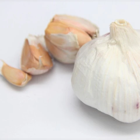 New crop Garlic Price With High Quality