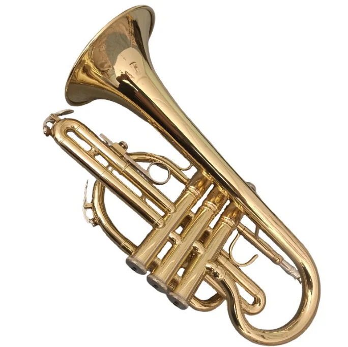 Professional Bb Trumpet Phosphor Copper Cornet Instrument with Nice Sound and Gold Lacquer Finish Price
