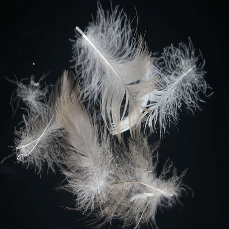 Hight quality 4-6 cm Washed grey goose down feather duck feather cushion insert