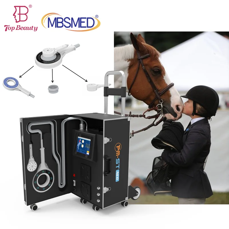 Magnetic Resonancephysical Rehabilitation Use For Horse Pain Treatment Rehabilitating Injured Magnetotherapy Equipment Pmst Neo