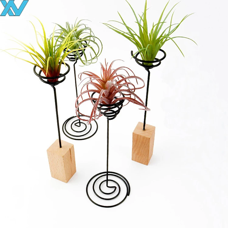 Display Desk decorate air-plant metal holder clip metal wire storage stands with wooden base