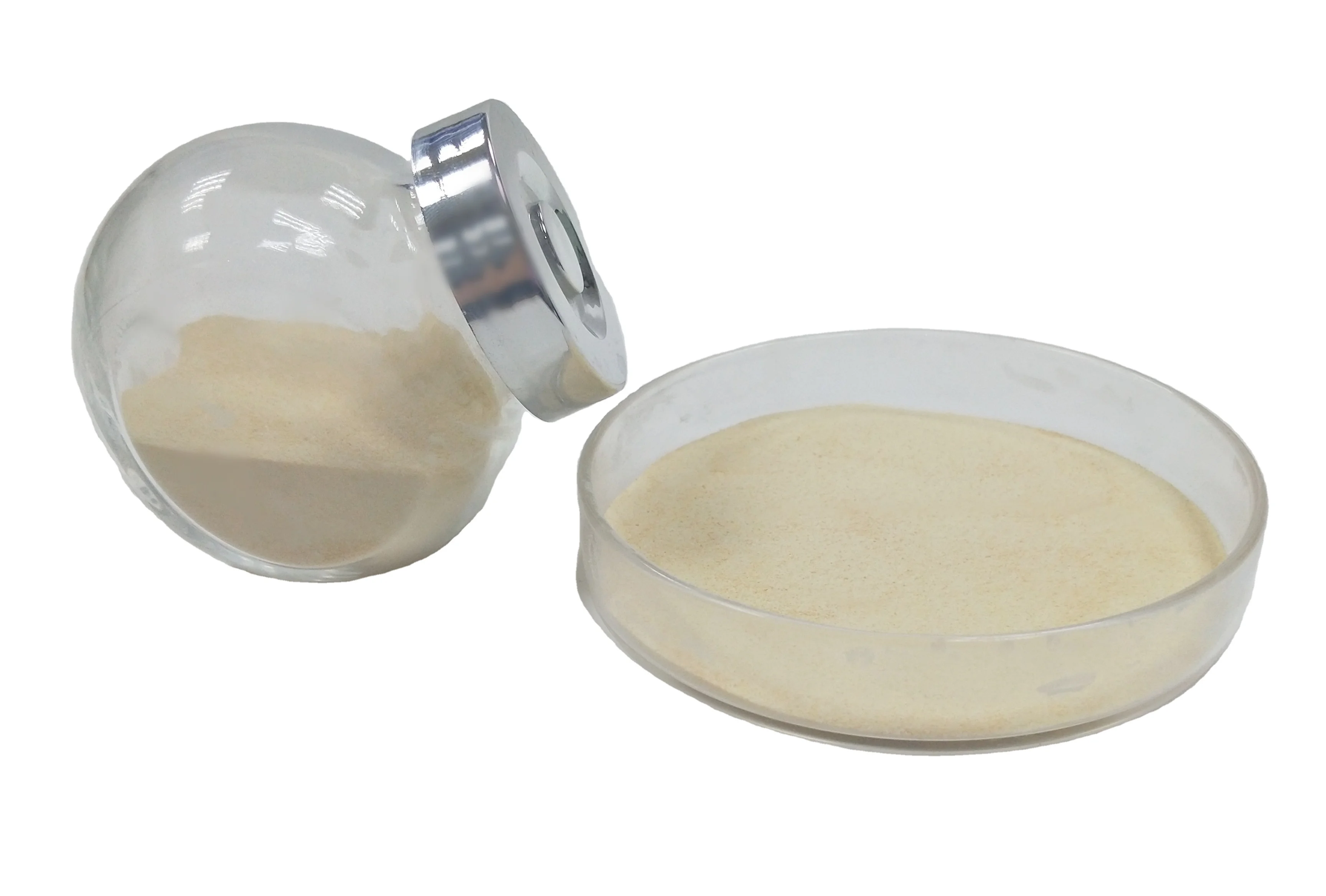 AGP replace solution AFEZYME LYCIN effective to gramnegative and grampositive bacterium