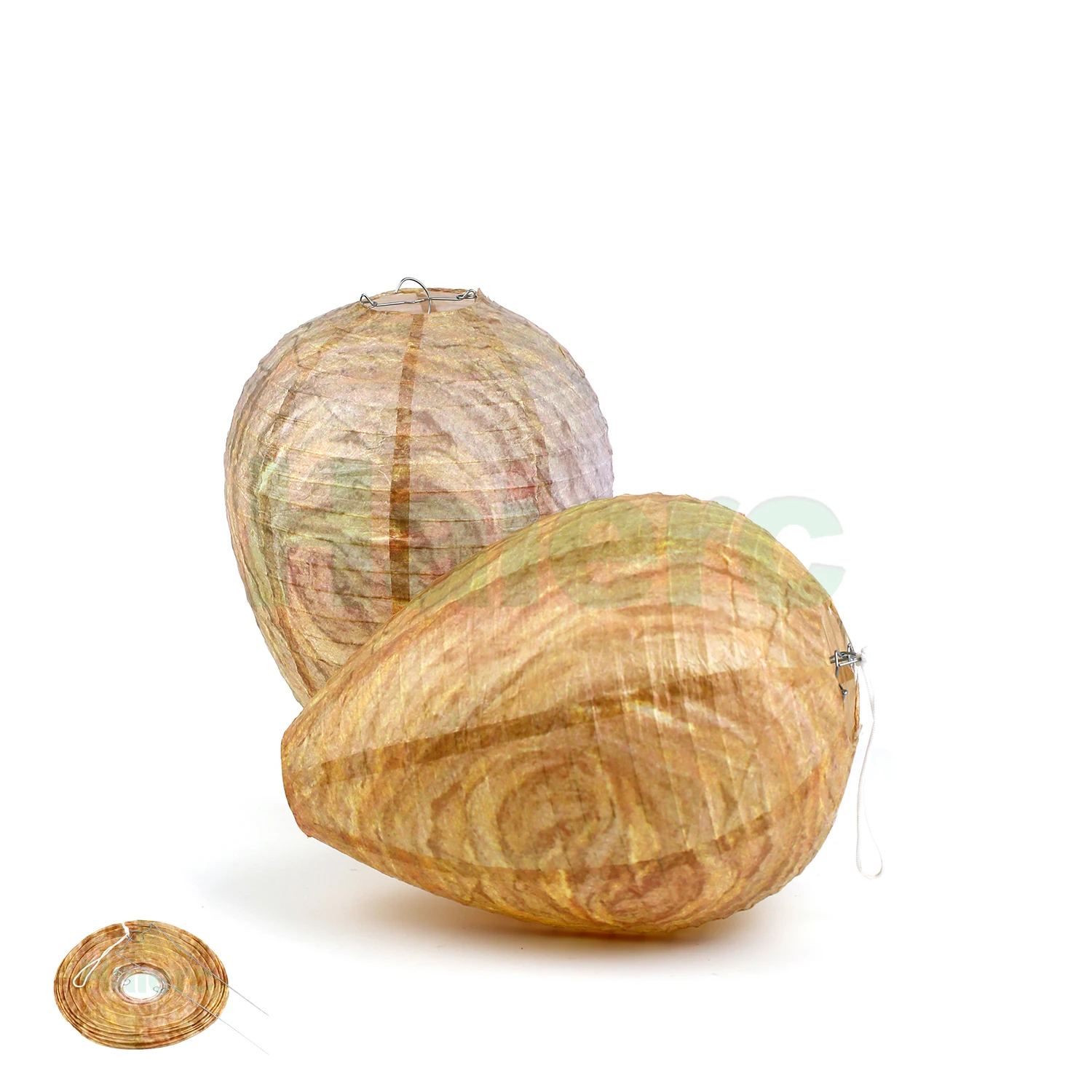 Haierc Outdoors Eco Friendly Home and Garden Hanging Wasp Nest Trap