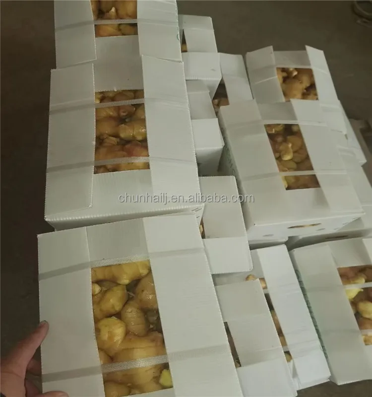 fresh ginger 1 (4).jpg