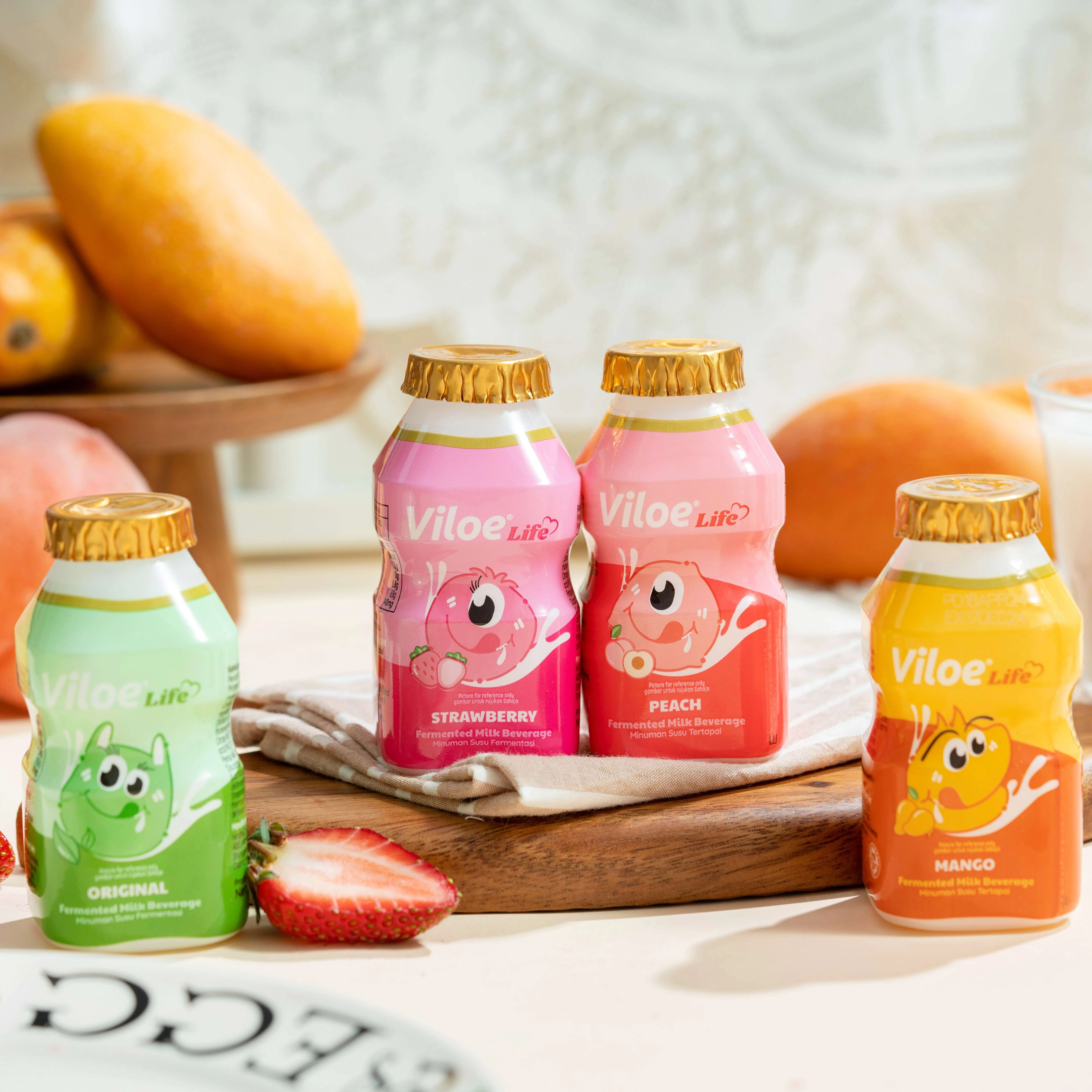 Viloe Life Original Flavor Lactobacillus Drink, 100ml Bottle Dairy Beverage, Add DHA algal oil powder