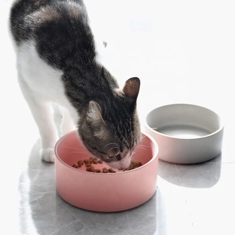 
Biodegradable Custom Cat Dog Pet Bowl Pet ceramic bowl feeder drinking water food bowl with stainless steel stand 