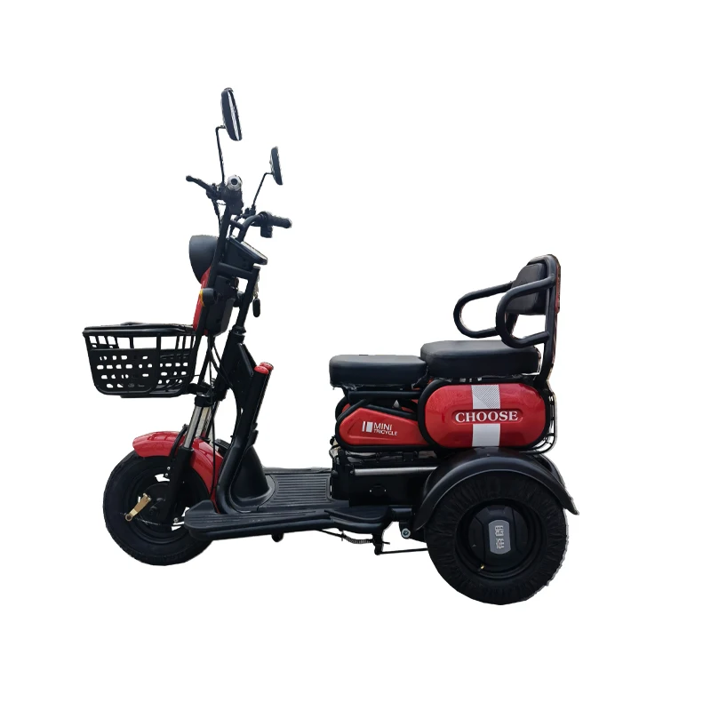 Wholesale New Speed Hot Selling 3 Wheel Adults Battery Powered Battery Cargo Bike Tricycle Electric