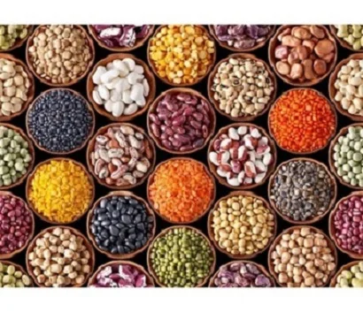 Whole Red lentils for