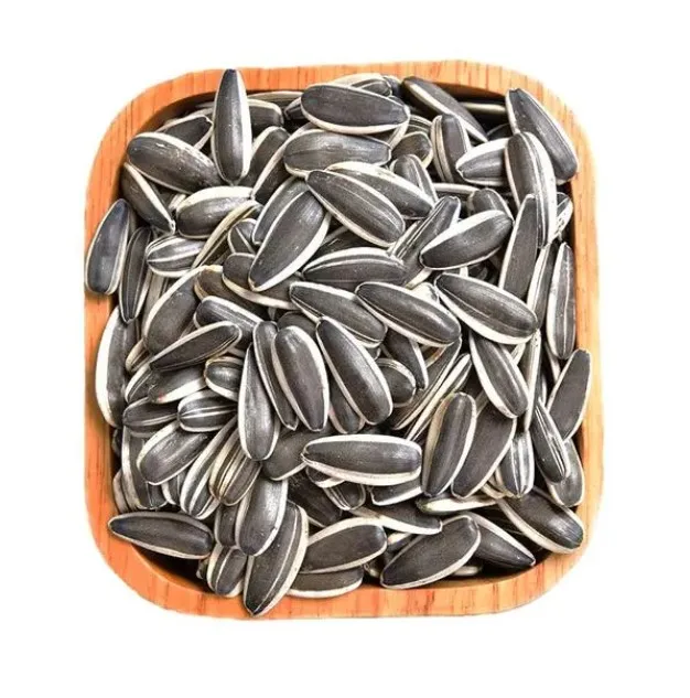 Оптовая продажа высокое качество 500 г натуральные семена дыни свежего жареного семечка
