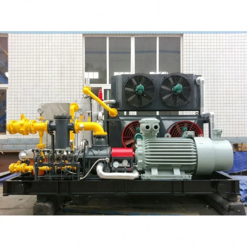 Advanced Technology Good Price Biogas Refrigerator Compressor