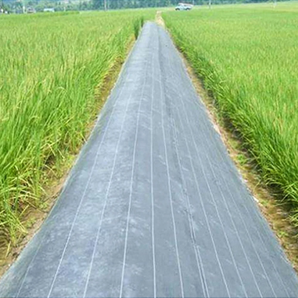 New Product Fabric Rolls Weed Control Agriculture woven weed control fabric polypropylene weed mat