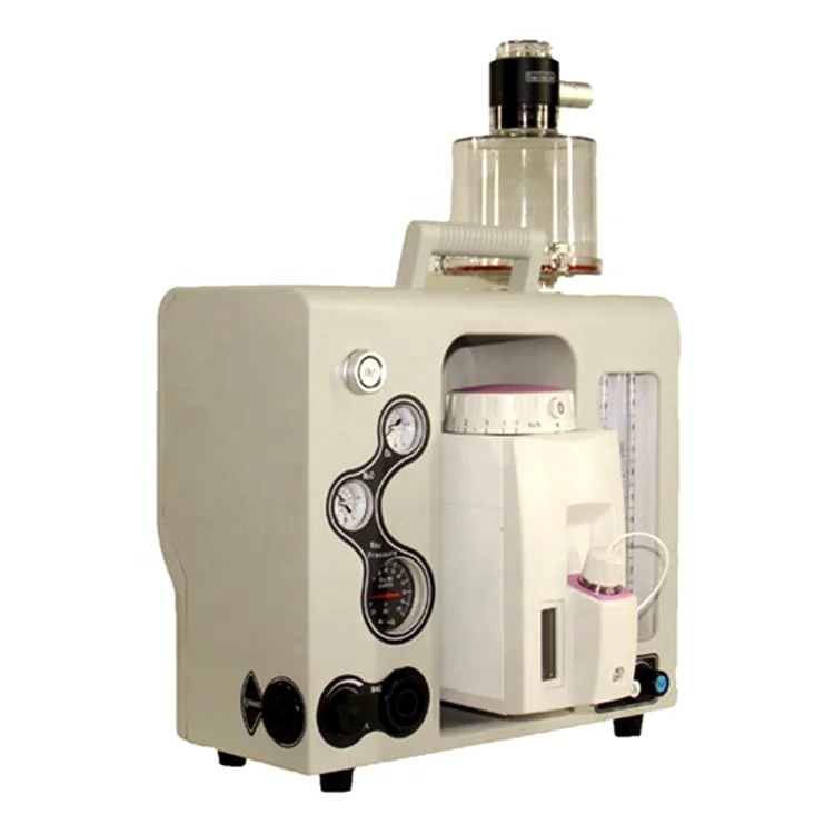 YSAV600PV Ysenmed Medical Hottest Model Small Animal Anesthesia Machine System Pet Clinic Veterinary