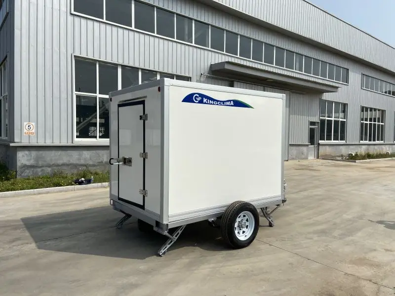 Hot sales in Euro USA AC110V AC220  Small Mobile Refrigerator Trailer Cooler Box Complete Mobile Coldroom