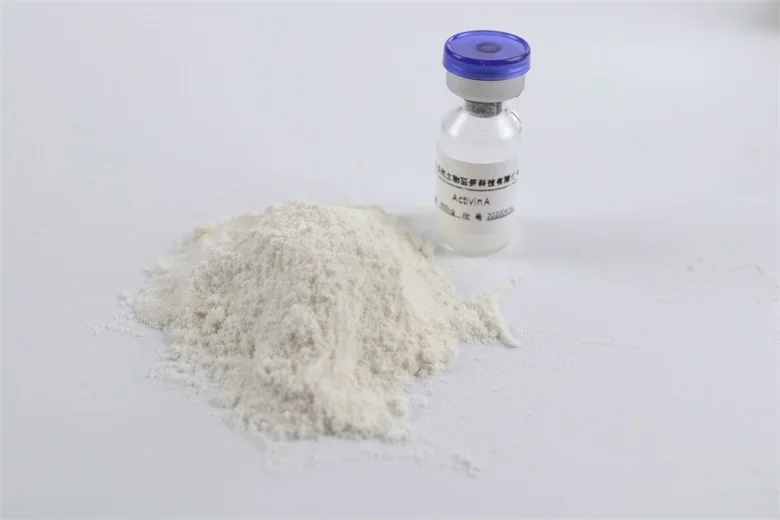 Highest Quality Purificatory Recombiant Protein Antibody BLLF1 N-terminal