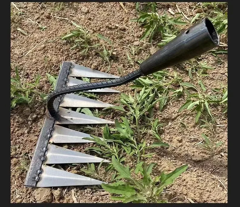 All steel hardened nail tines grass harrow digging wild vegetables lawn loosening rakes hand garden sweeping tool weeding rake