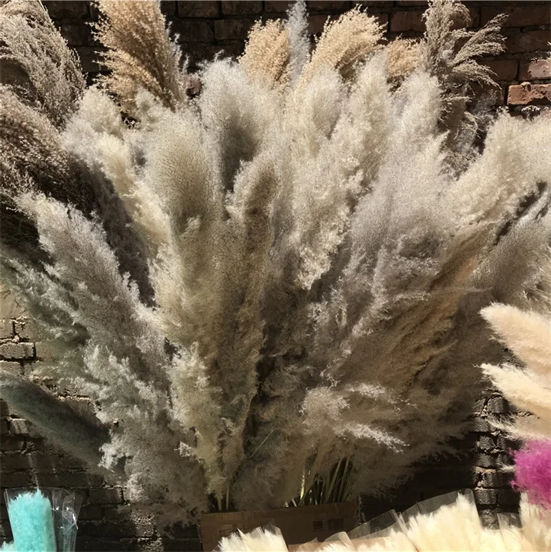 Оптовая продажа с фабрики Юньнань, большой натуральный сушеный цветок, длинный стебель, сухая пампасная трава для домашнего декора
