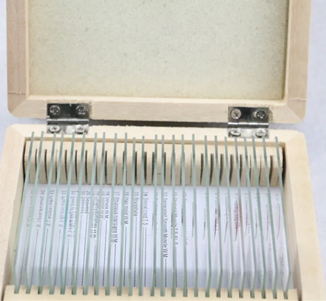Laboratory apparatus zoology microscope slide for searching use