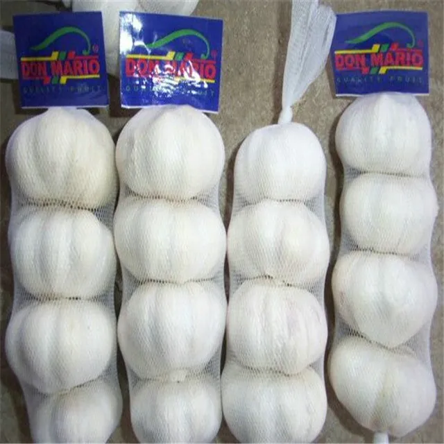 
export chinese fresh garlic 2021 /special price 