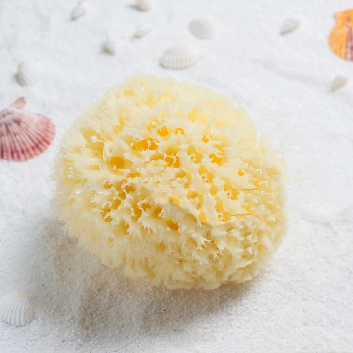 natural Greece sea sponge for baby adult bath