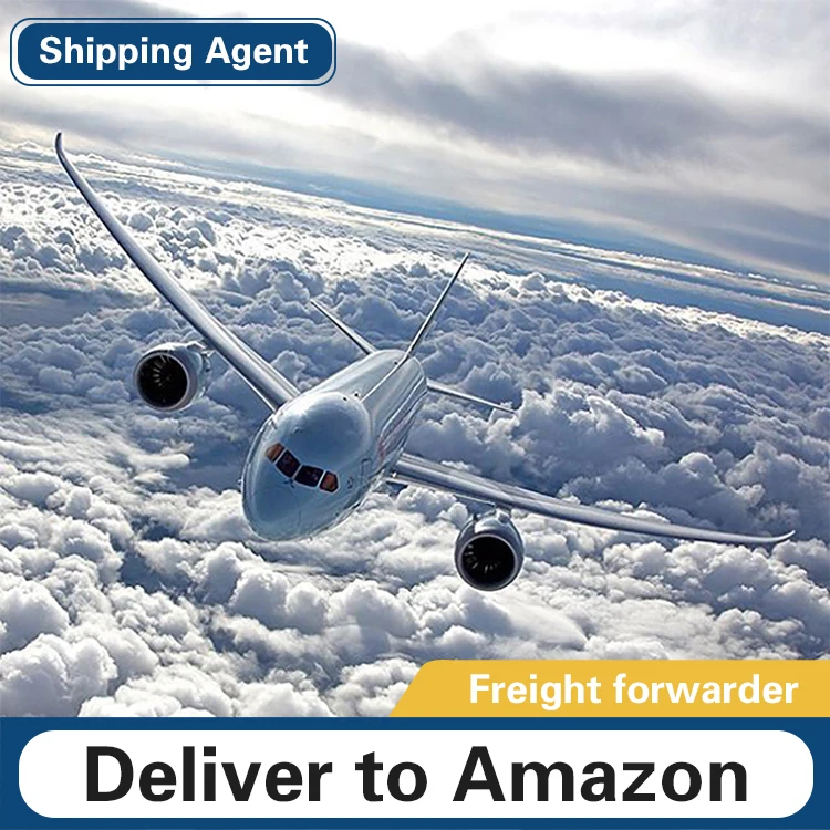 Профессиональный авиаперевозчик DDP, доставка, экспедитор, транспортно-экспедитор в Уругвай/Узбекистан