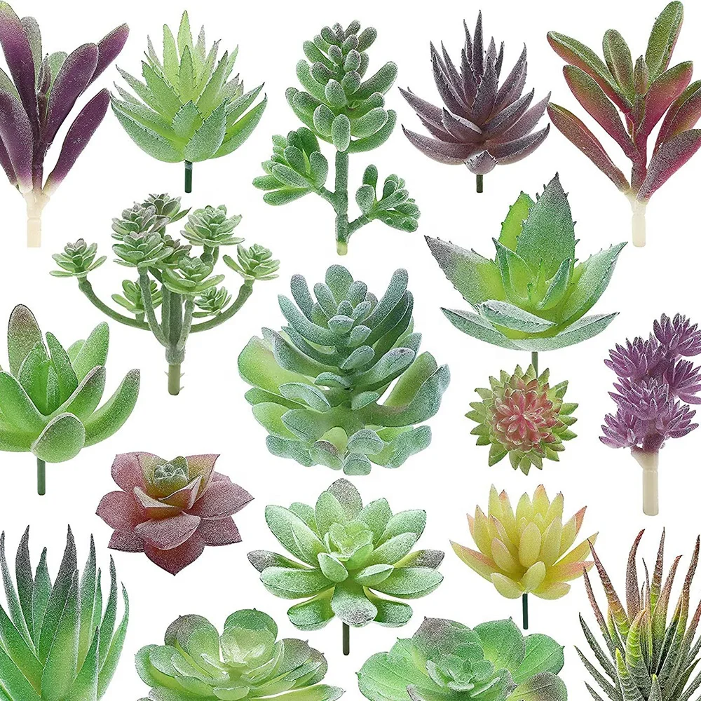 Суккуленты живые растения echeveria новый дизайн Искусственные пластиковые суккуленты кактусы оптом Белый бамбуковый маленький горшок