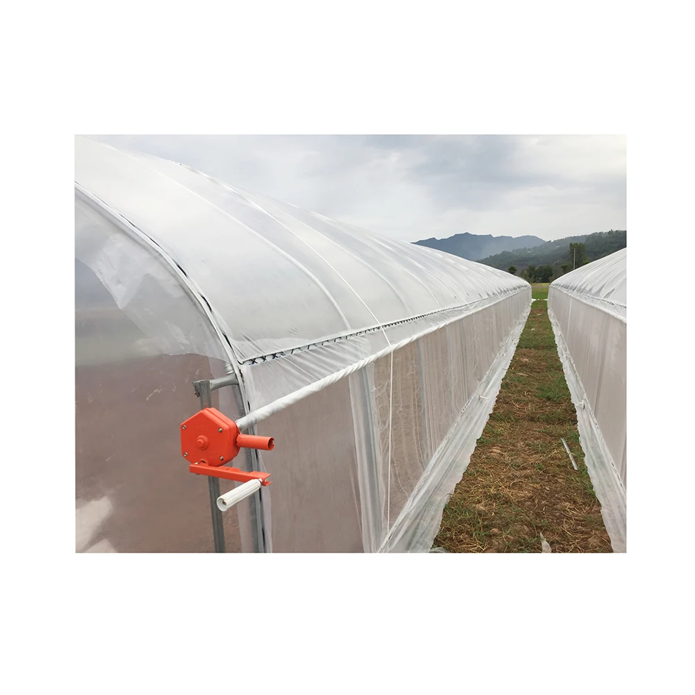 Flim tunnel horticultural green house for farming  Fruit & Vegetables Small Agricultural Greenhouse
