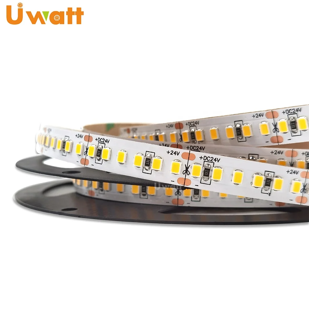 DC 12V 24V AC 220V 120V Width 10mm Length 32.8ft 60ft 100ft LED Strip Light