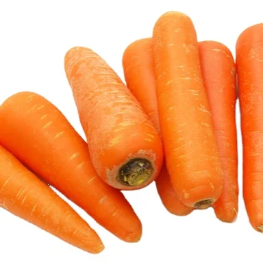 
2021 new crop xiamen no.316 variety fresh carrot 10kg carton hotselling 
