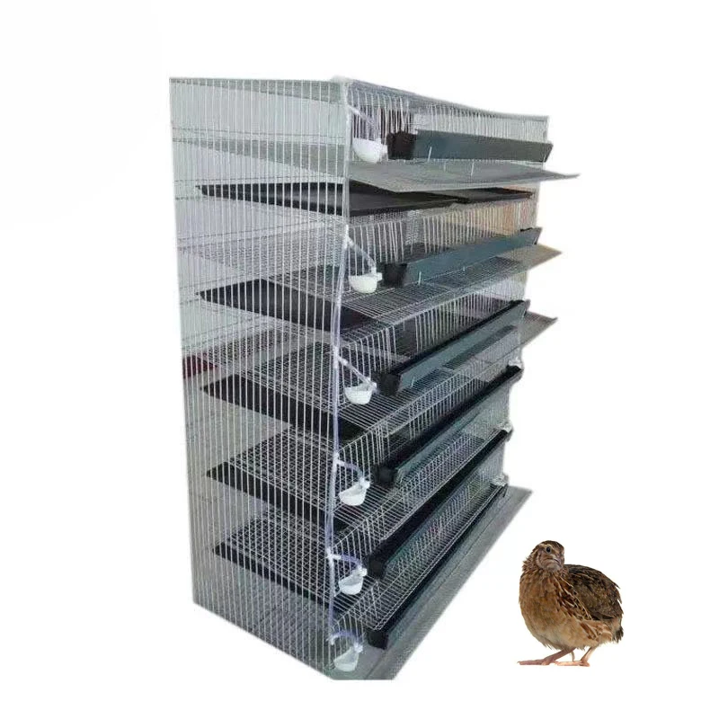 
Poultry farm chicken coop layer chicken cage Quail cages for sale 