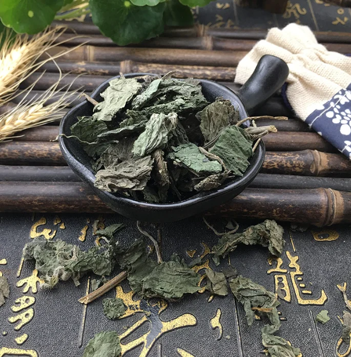 Factory supply herb Pure natural no add New crops dry Nettle