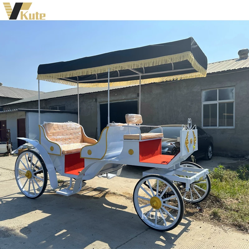 Stylish Landau for romantic city tours beautiful horse carriage