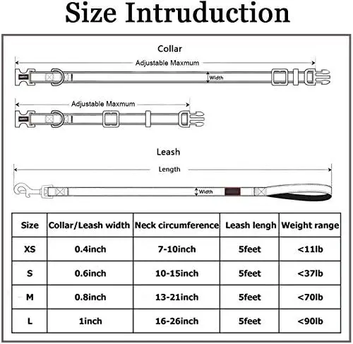 Manufacturer  Nylon Reflective Purple Martingale Adjustable Durable for Walking Playing Training Dog Collar Leash Set