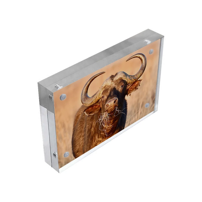 borlun new acrylic 2x2 photo picture magnetic frames stand card with magnets acrylic large 23x35