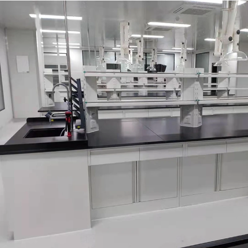 Customized Laboratory Workbench Laboratory Equipment Lab Fume Hood Steel Storage Cabinet Wholesale