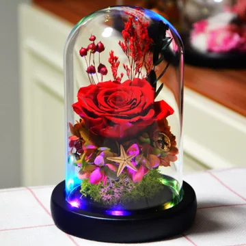sweet blue rose lamp real preserved rose in glass dome, enchanted  forever flower night light for valentine anniversary gift