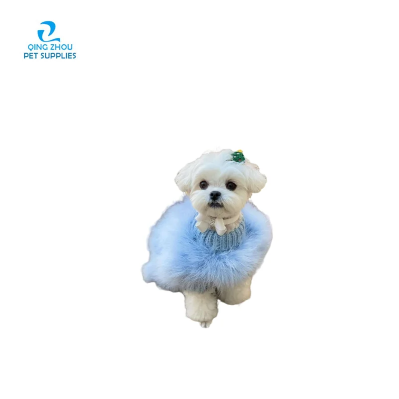 Fashionable dog clothes with fluffy warm autumn/winter bulldog wearing pet clothes dog